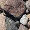 Rocks