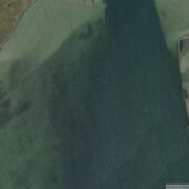 next