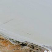 next